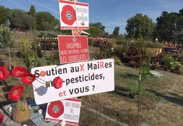 Stand Coquelicots à La folie des plantes (Nantes) le 8 septembre 2019