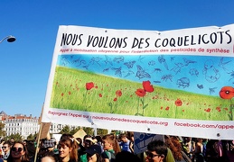 Marche pour le climat à Lyon le 21 septembre 2019