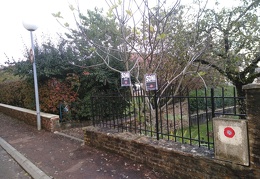 Affiches accrochées aux arbres à Hauteville-lès-Dijon le 15 novembre 2019