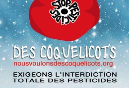 Affiche d'appel au rassemblement à Villepreux